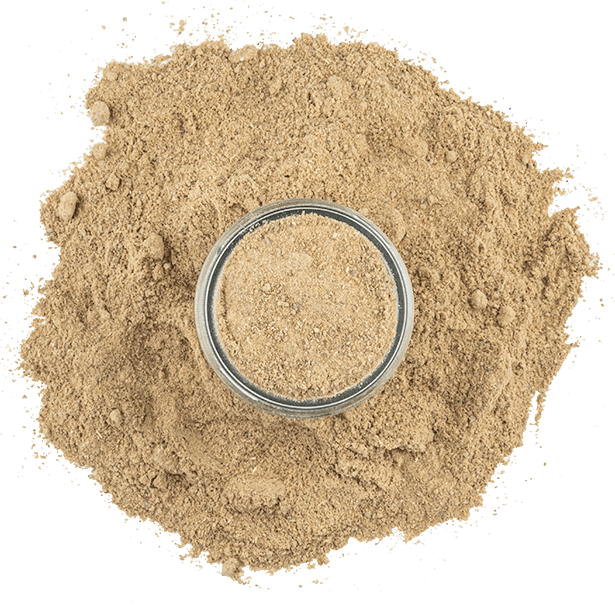 Amchoor Powder