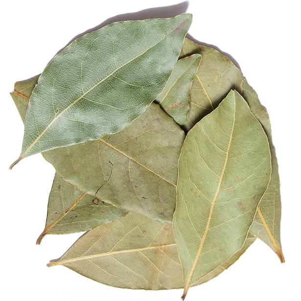 Bay Leaves, Turkish